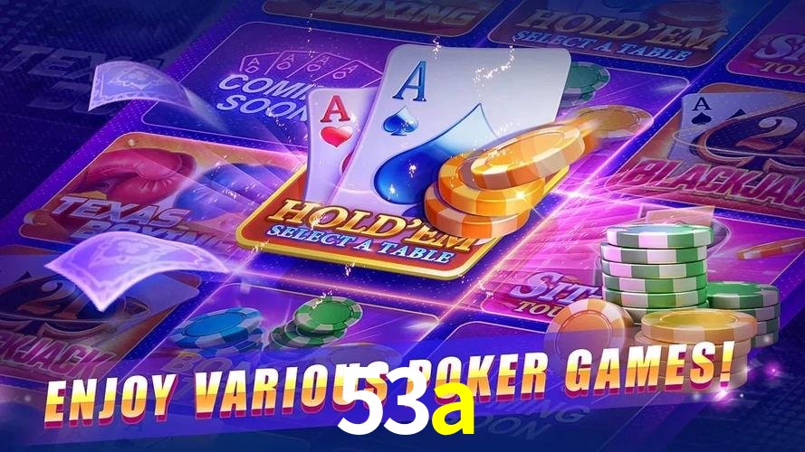 53a