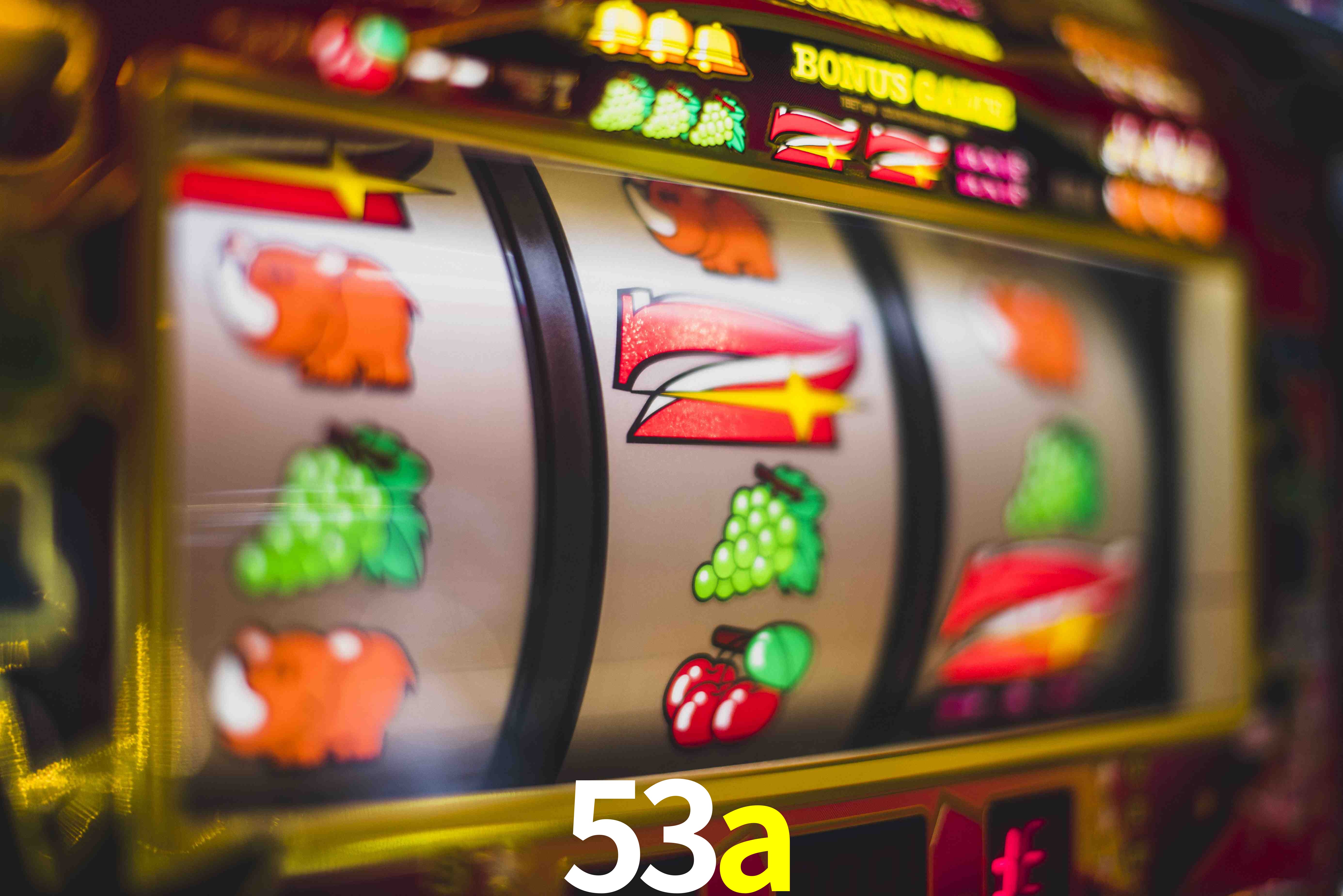 VIP Casino 53a